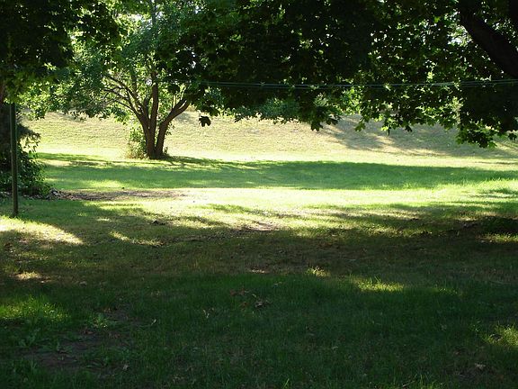 Summer lush backyard view to open space