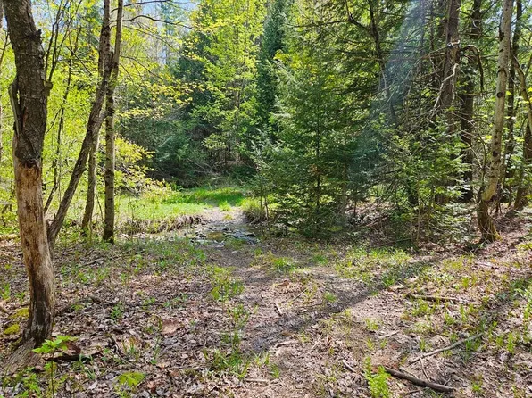 Lot 4 Berry Road, Berkshire, VT 05450