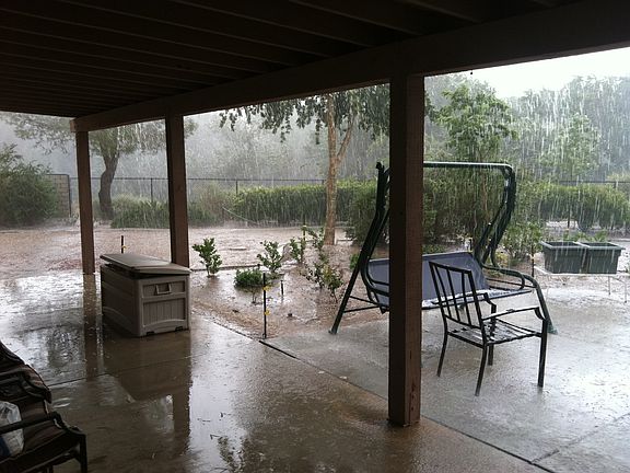 back patio yard area