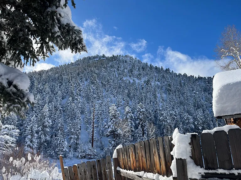 Views from backyard