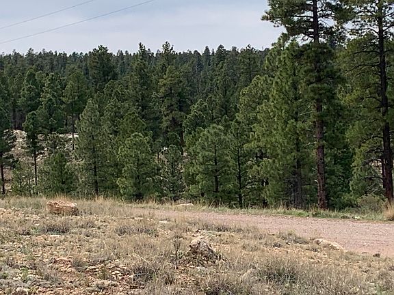 4th image of 1270 Moqui Dr