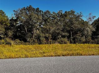LOT 20 SW 39th Cir, Ocala, FL 34473