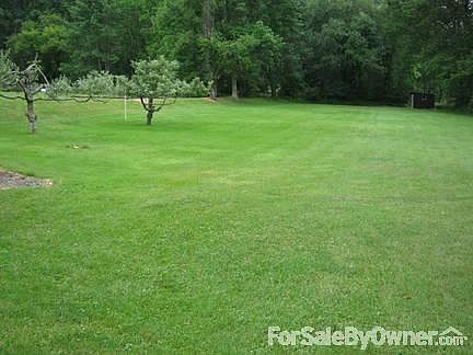 Large Private Backyard