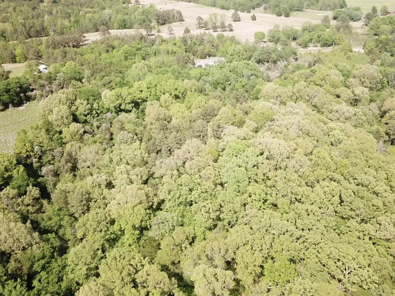 496 Gin Pond Dr — Photo 8