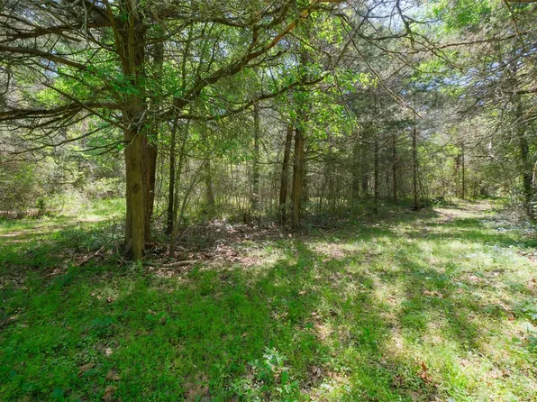 24718 Squirrel Rd, New Ulm, TX 78950