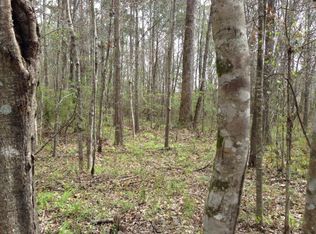 Xxxx Ole Springs Rd, Summit, MS 39666