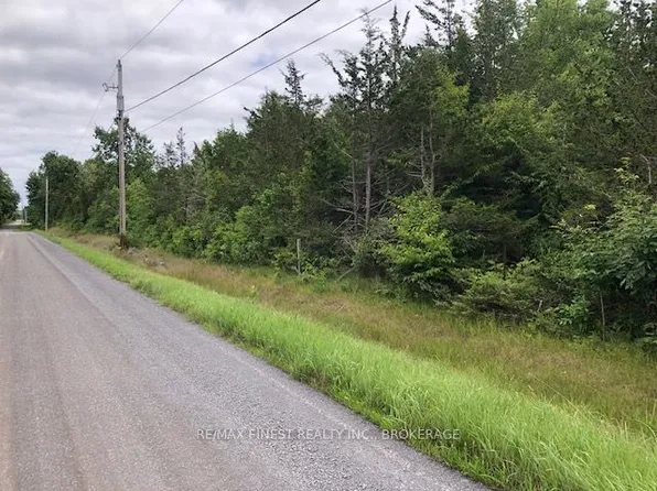 590 Love Rd, Loyalist, ON K0K 3N0