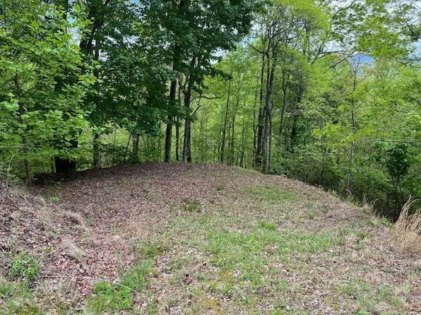 30 Parris Field Rd, Bryson City, NC 28713