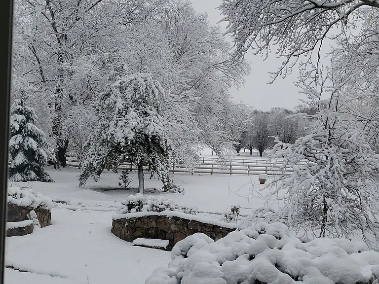 Front yard on a snowy morning.