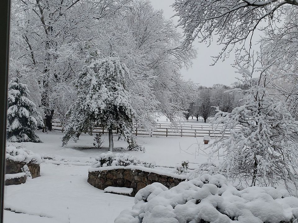 Front yard on a snowy morning.