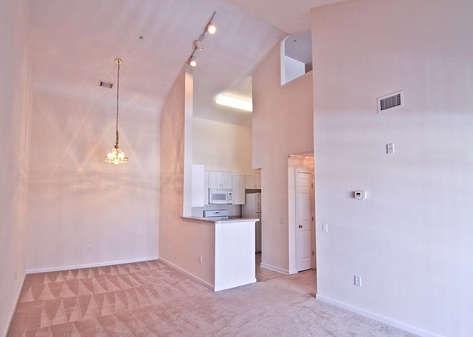 1st image of 2343 Cypress Cove Cir APT 404