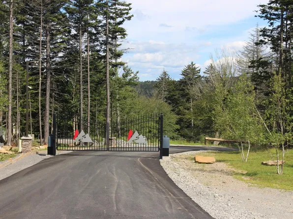 246 Red Spruce Dr, Snowshoe, WV 26209