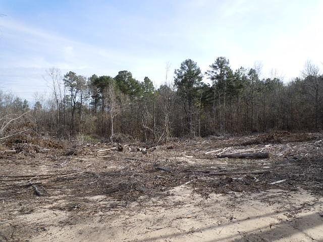 2nd image of 239 Oriole Rd