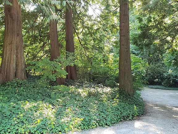 5th image of 12581 Crescent Rd