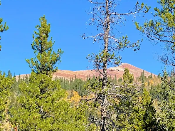 0 Mosquito Circle, Alma, CO 80420
