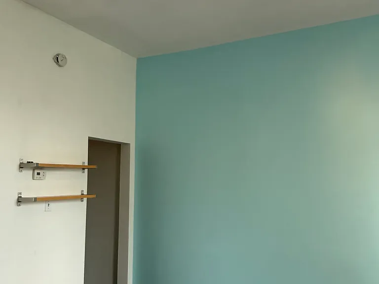 Living room with shelves