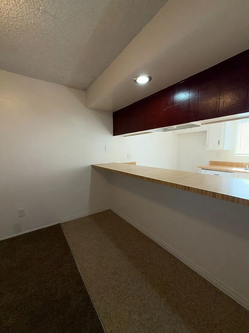 072- 4413 Isla Verde Street — Photo 4