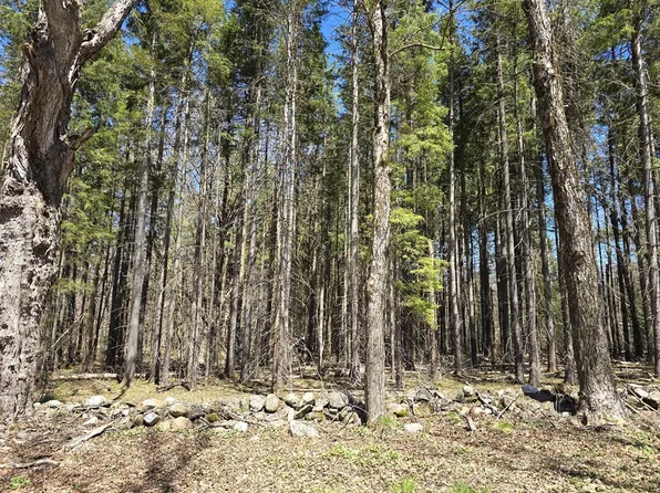 0 Yale Rd, Cummington, MA 01026