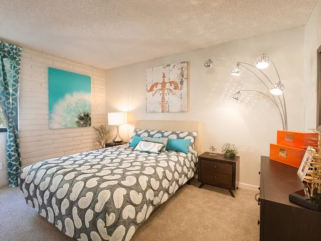 Scottsdale 59 — Photo 25