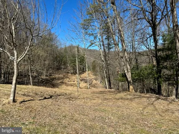 0 Falcon Ln, Sugar Grove, WV 26815