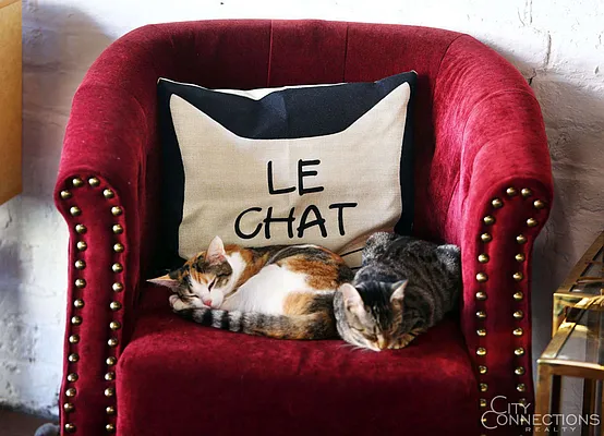 Rented by City Connections Realty | media 32