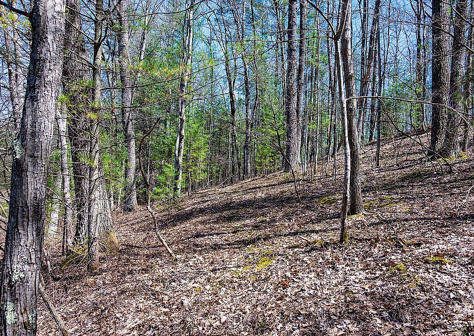 4696 Harris Rd, Wellston, MI 49689 Zillow