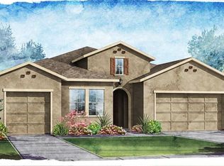 14202 Cheshire Acres Pl, Tampa, FL 33618