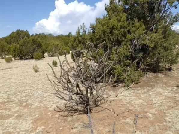 160/AC Apache Mesa Rd, Las Vegas, NM 87701