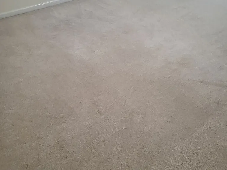 5049 Pine Lake Ct — Photo 24
