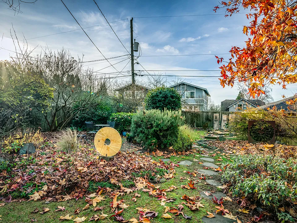 Back yard