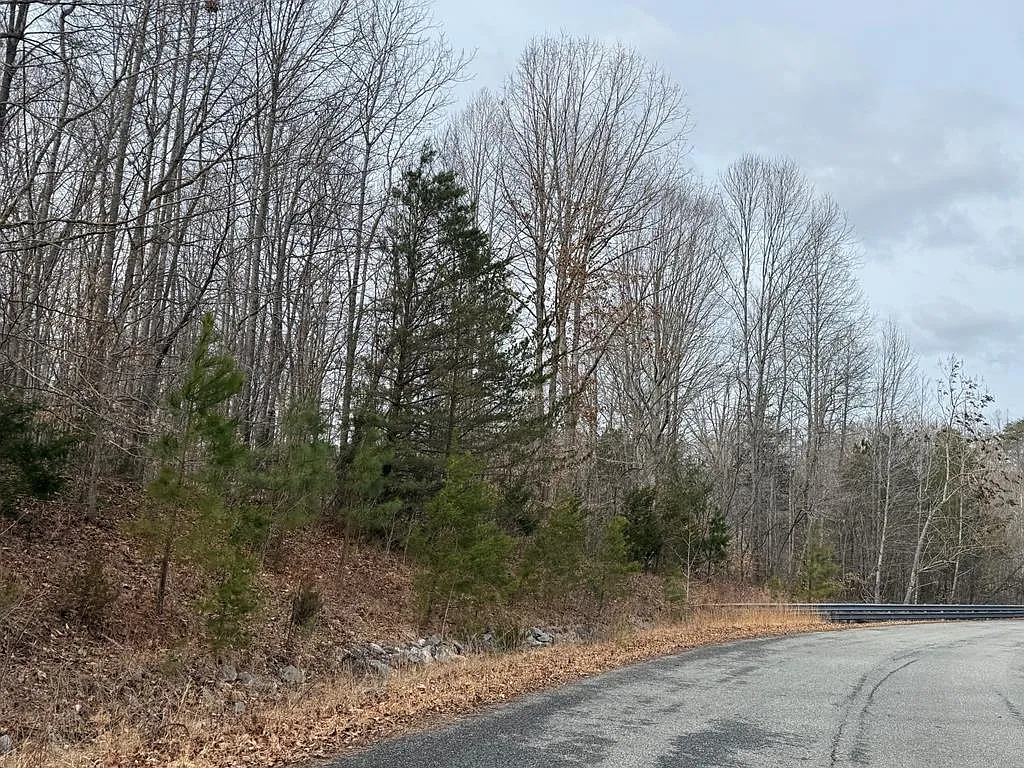 W Lockett Creek Blvd #11 photo 1