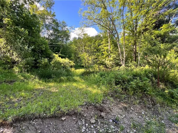 Cherry Valley Rd Lot 1, Allegany, NY 14706
