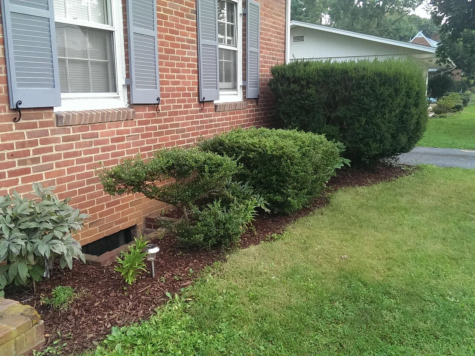 3 bed, 1.5 bath, 1226 sqft, $1,595 — Photo 2
