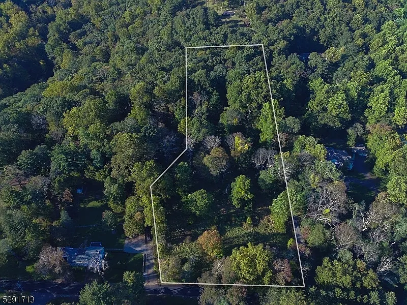239 Mountainside Rd. photo 1