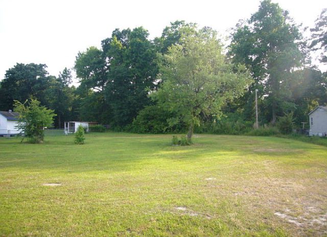 Main View