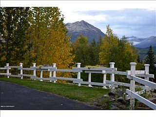4th image of 10235 Silvertip Cir