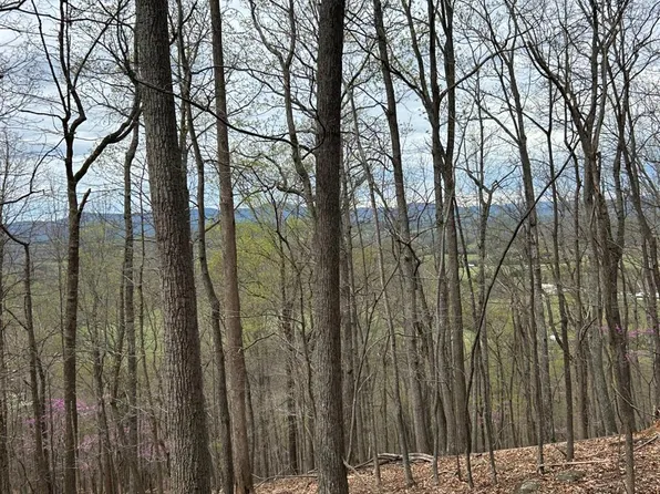 7 Crane Dr Lot 7, Monroe, VA 24574