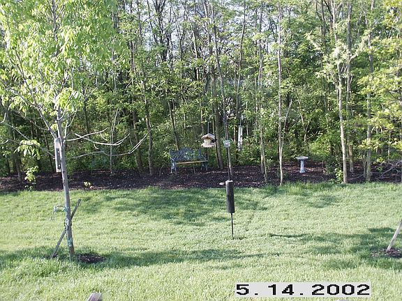 Backyard in spring