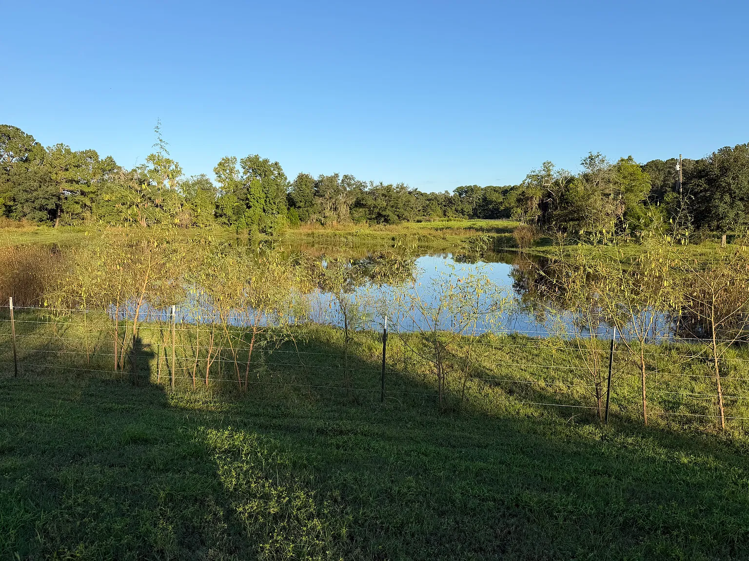 4 bed, 2.5 bath, 2268 sqft, $2,700 — Photo 4