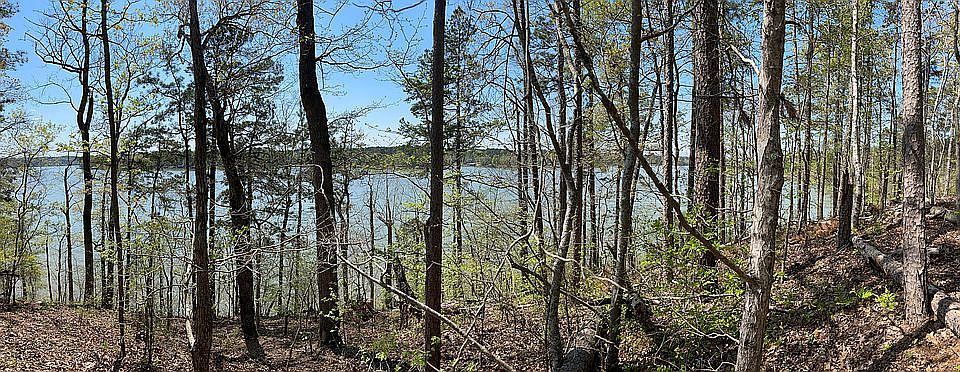 2nd image of 0 Shagbark Point Dr