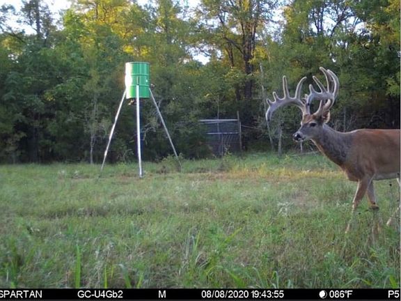 3rd image of 4210 E Road St