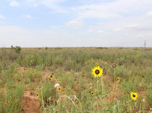 0 N Fm 303, Levelland, TX 79336