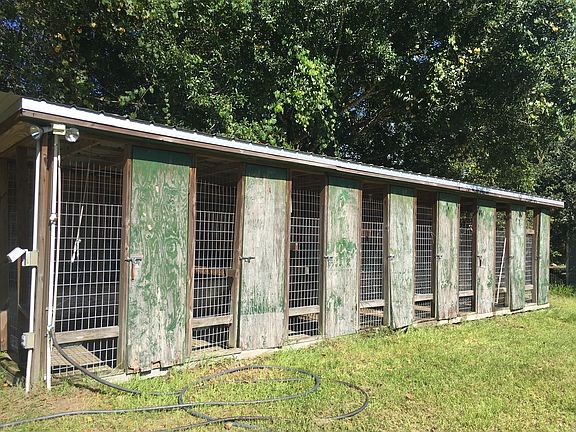 8 Dog Kennels with concrete 