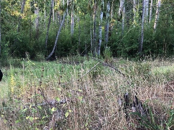 3rd image of 121 N Bagley Creek Road
