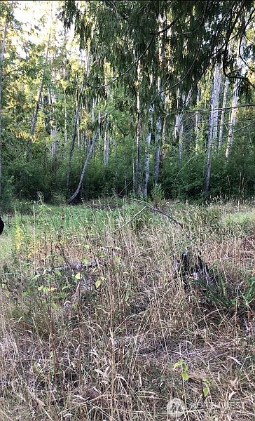 3rd image of 121 N Bagley Creek Road