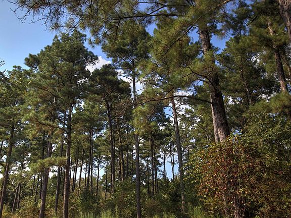 4th image of 61.88 Ac Cres #2920