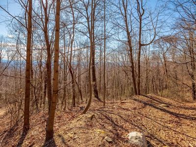 LOT 115 Spring Pond Trl, Fancy Gap VA - Owner Finance Home