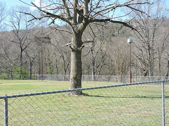 3rd image of 6396 Ross Creek Dr
