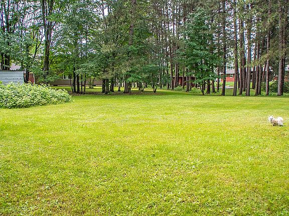 backyard with mature trees