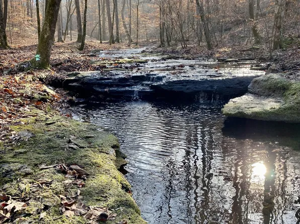 0 Freedom Rd, Summertown, TN 38483